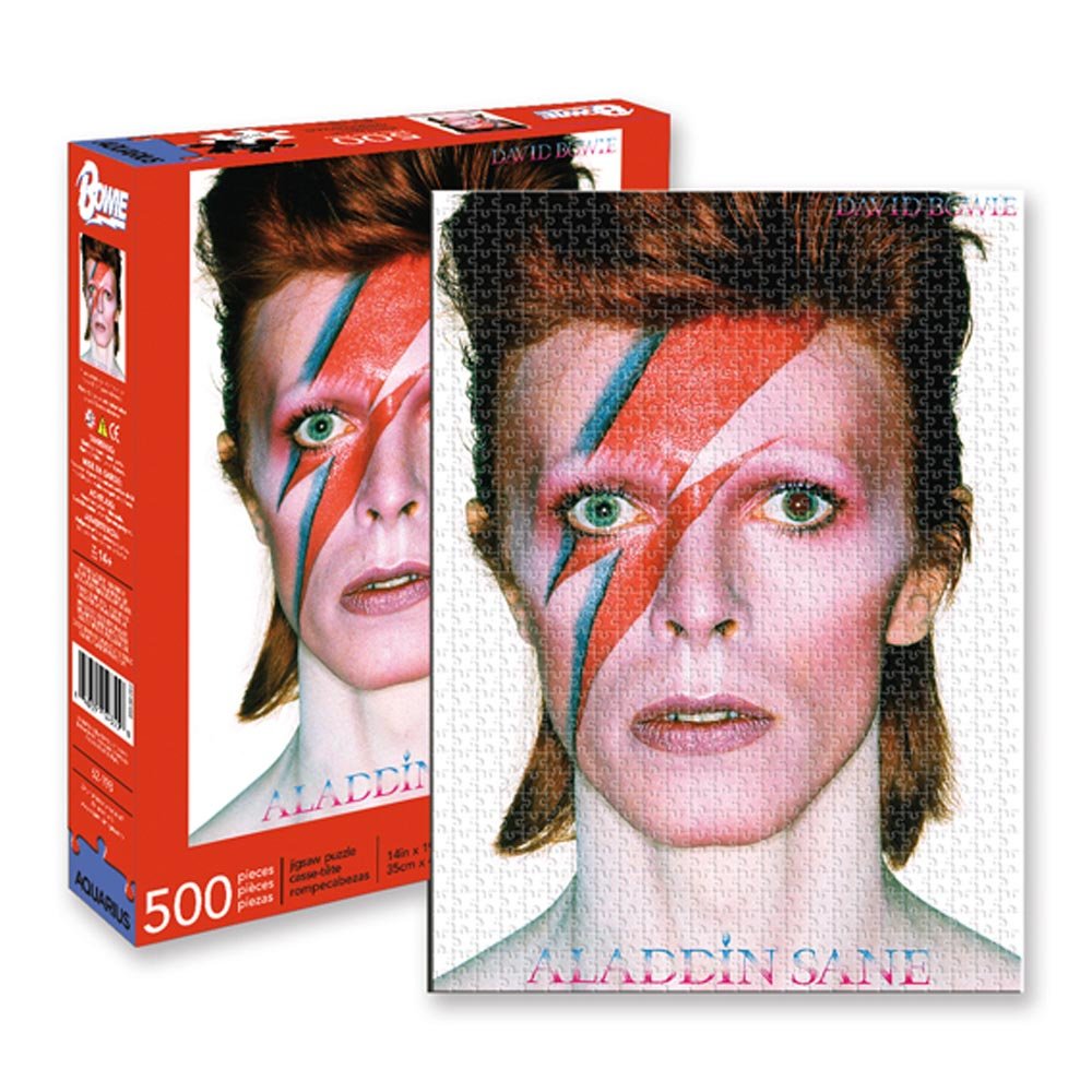 DAVID BOWIE - (追悼 10年 ) - ALADDINE / 500ピース